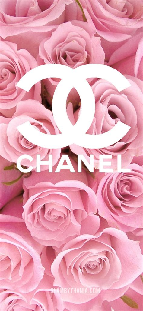 pink chanel logo wallpaper.